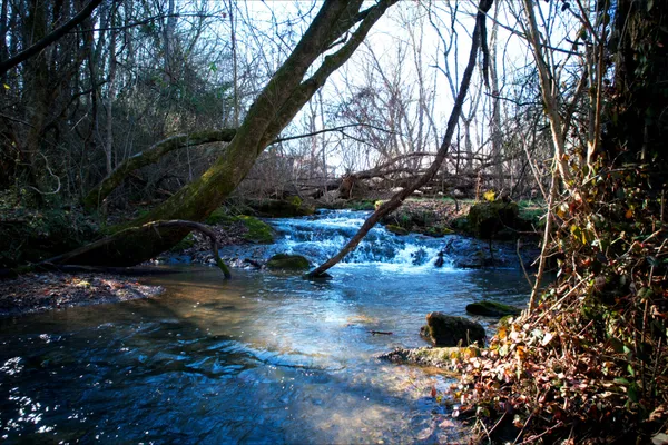 $18,000 | 0 Rheatown Road, Chuckey, TN 37641