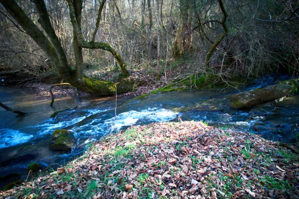 $18,000 | 0 Rheatown Road, Chuckey, TN 37641