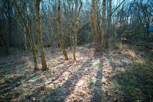 $18,000 | 0 Rheatown Road, Chuckey, TN 37641