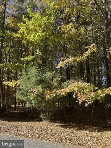 a view of a lake and green valley