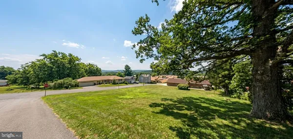 a view of a garden with an outdoor space