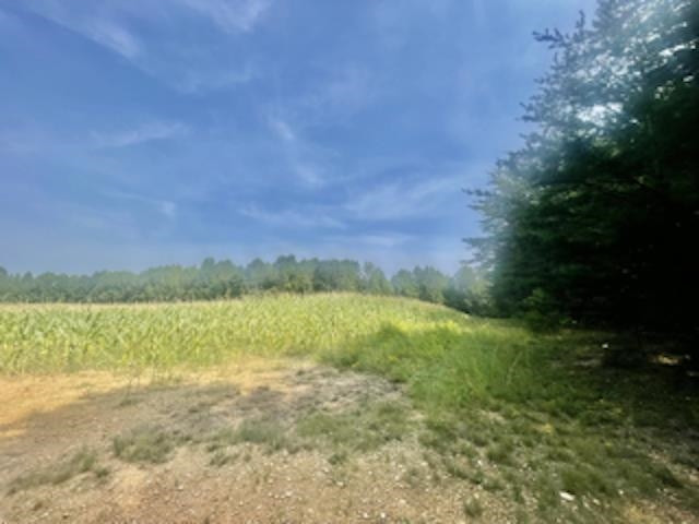 Tbd St Paul Church Road Roxboro, NC 27574 - Photo 2 of 4 Photo 2