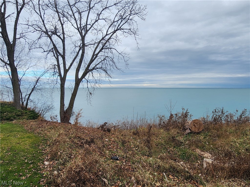 17814 Crestland Road Cleveland, OH 44119 - Photo 48 of 49 View of Lake Erie from Beach Club