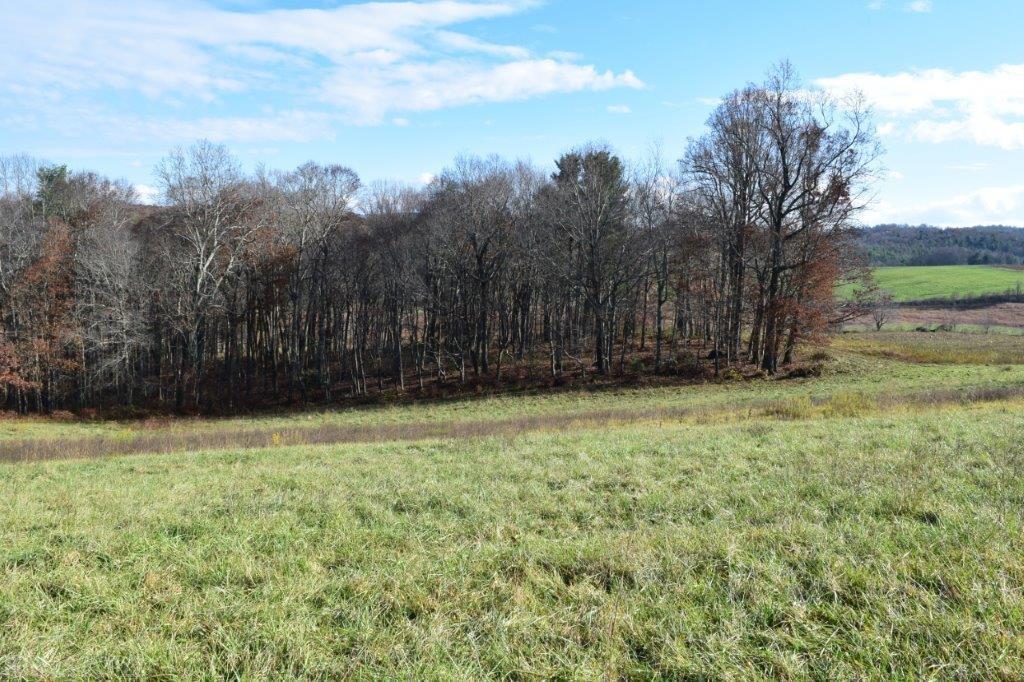 Tbd Spring Dale Road Southwest Floyd, VA 24091 - Photo 14 of 44 Gallery Image 14