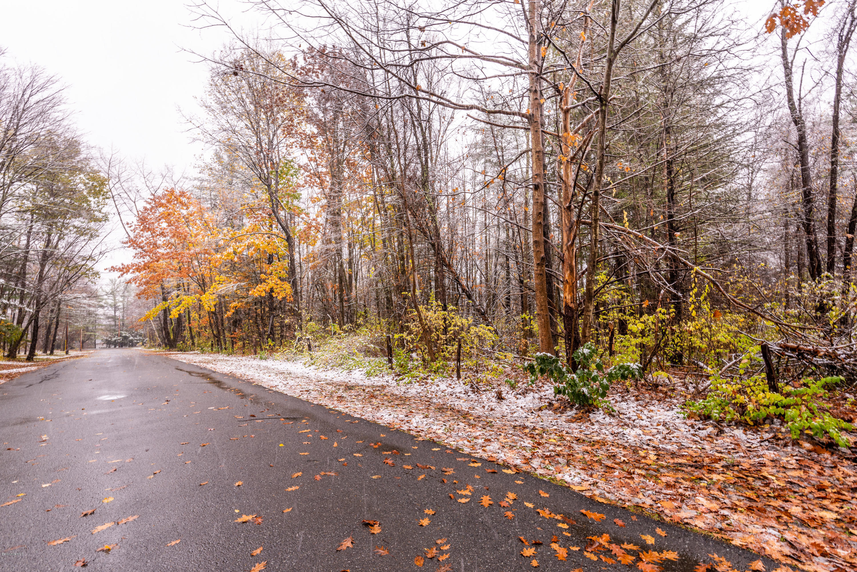 1 B Old Tree Farm Road Stockbridge, MA 01266 - Photo 1 of 9 a view of road and trees