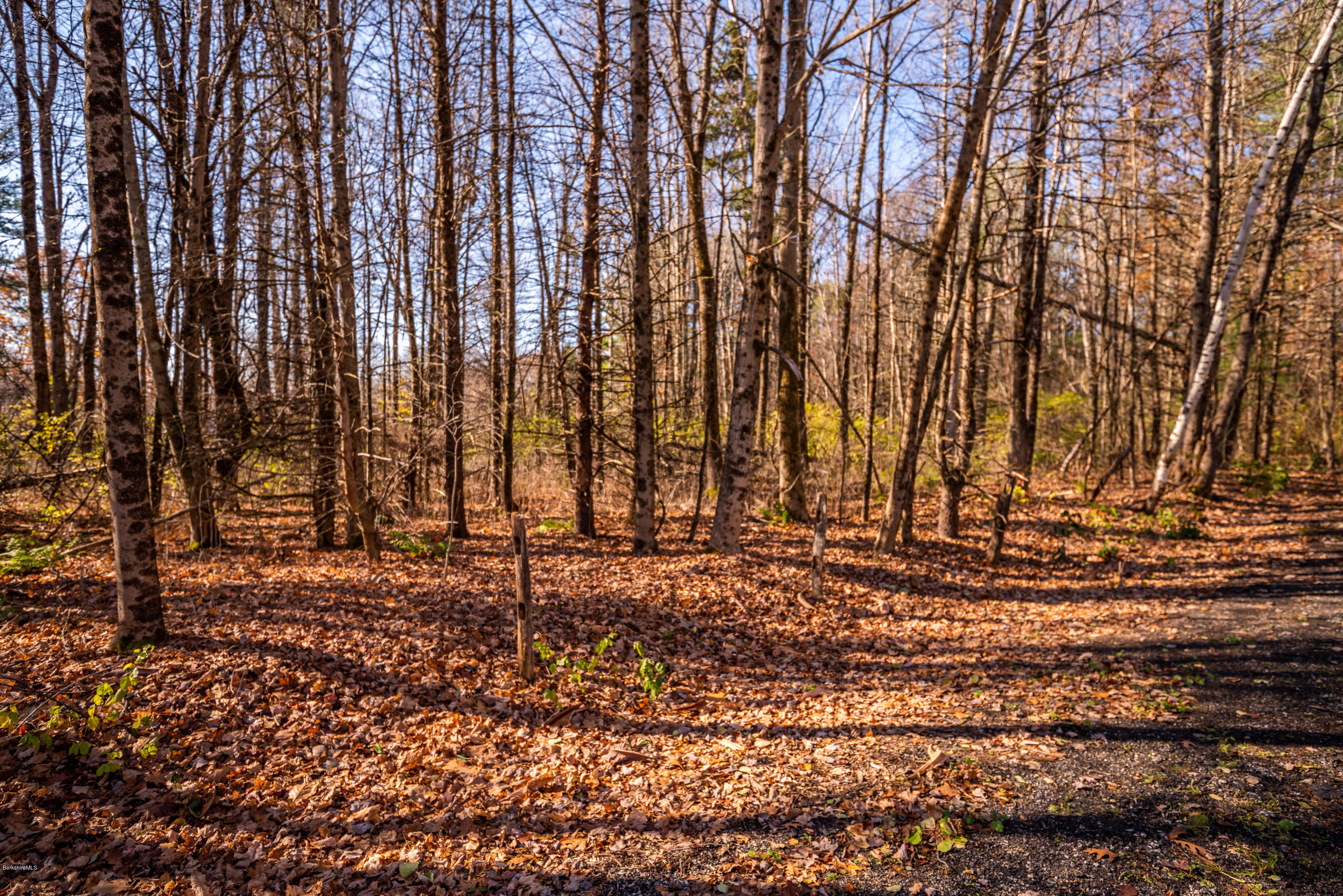 1 B Old Tree Farm Road Stockbridge, MA 01266 - Photo 4 of 9 a view of a backyard
