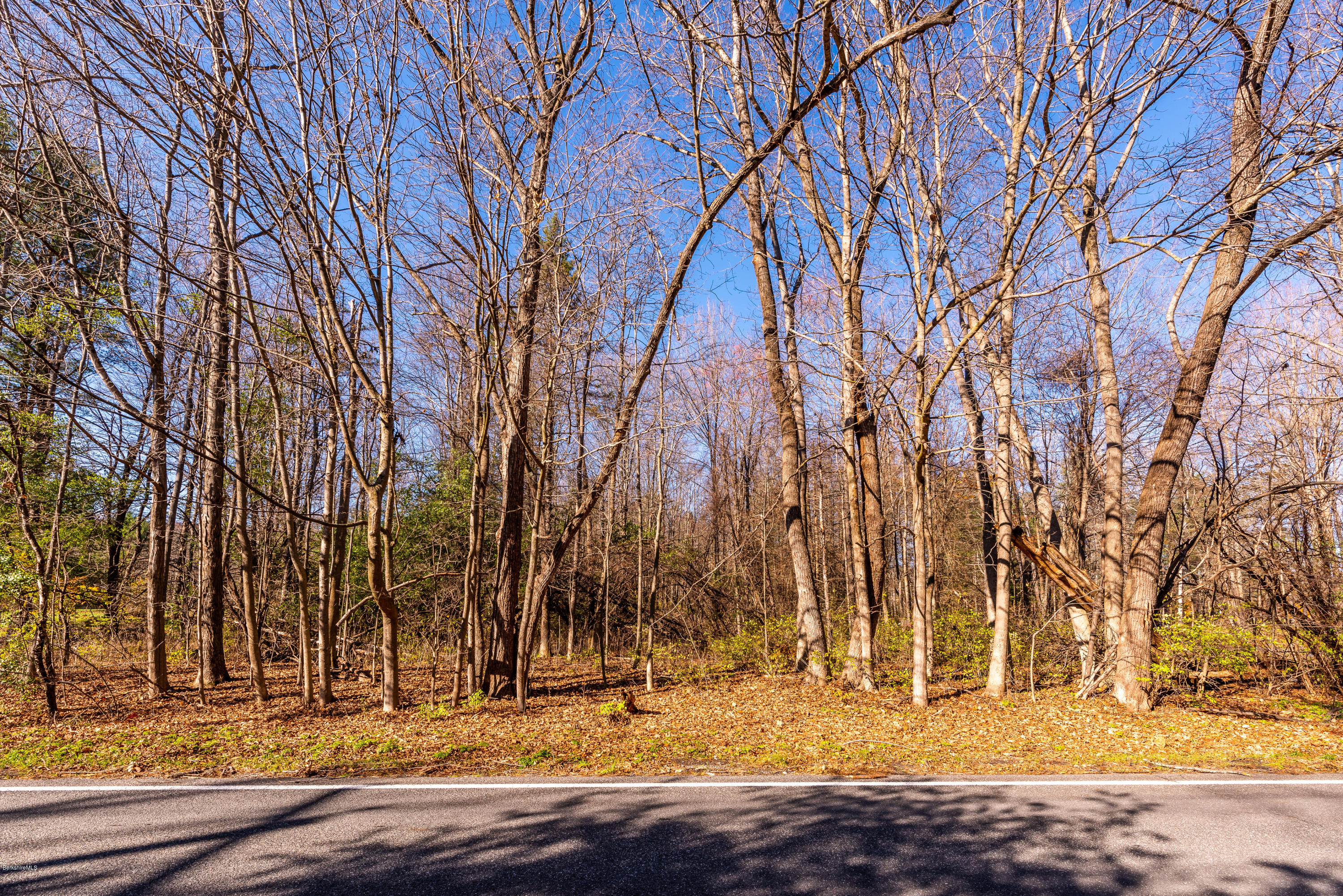 1 B Old Tree Farm Road Stockbridge, MA 01266 - Photo 6 of 9 a view of a yard with large trees