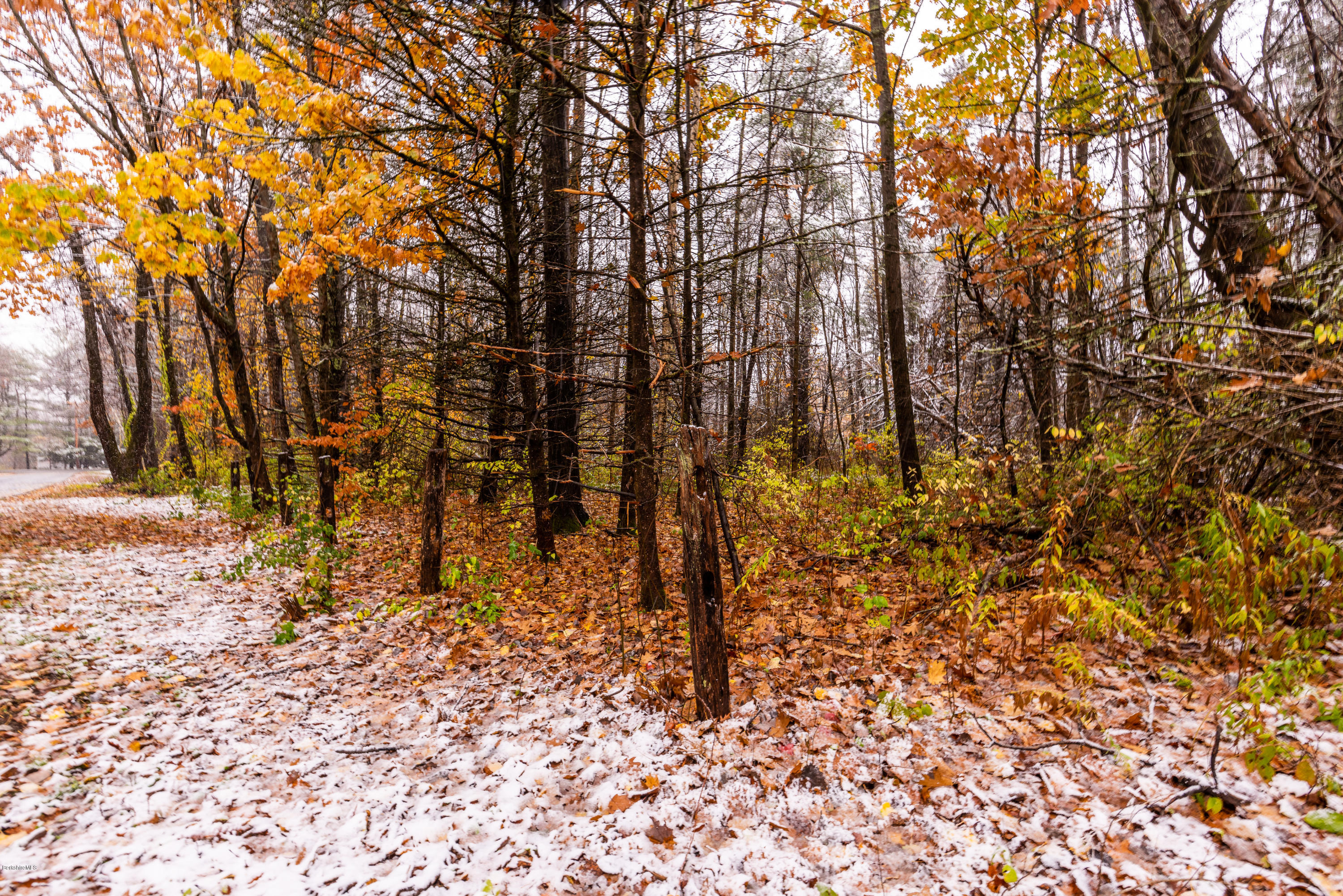 1 B Old Tree Farm Road Stockbridge, MA 01266 - Photo 8 of 9