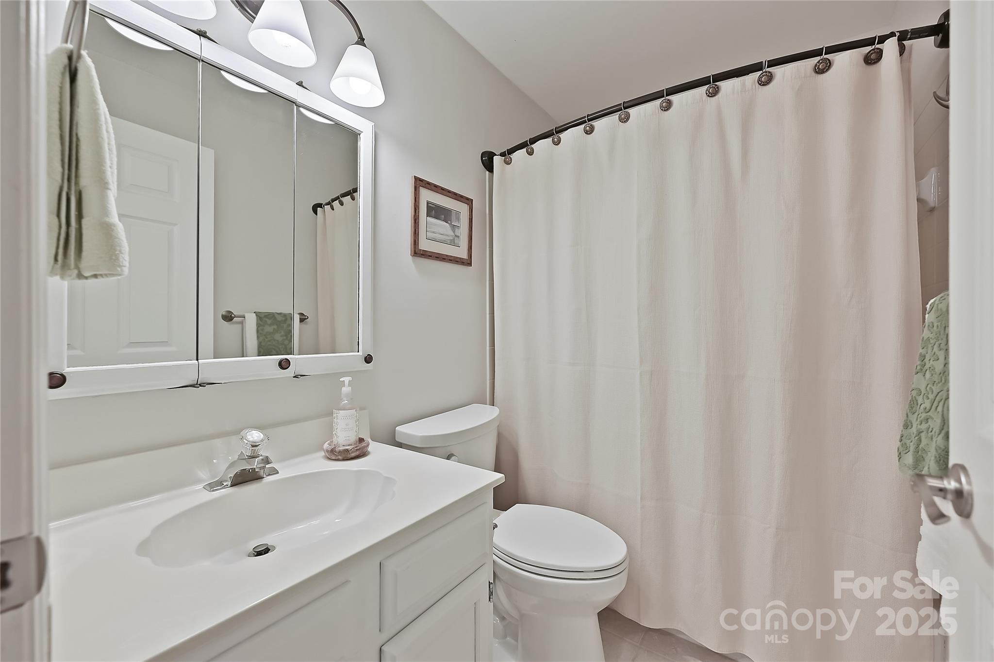 19901 Henderson Road, Unit C Cornelius, NC 28031 - Photo 27 of 42 a bathroom with a sink a toilet and shower curtain