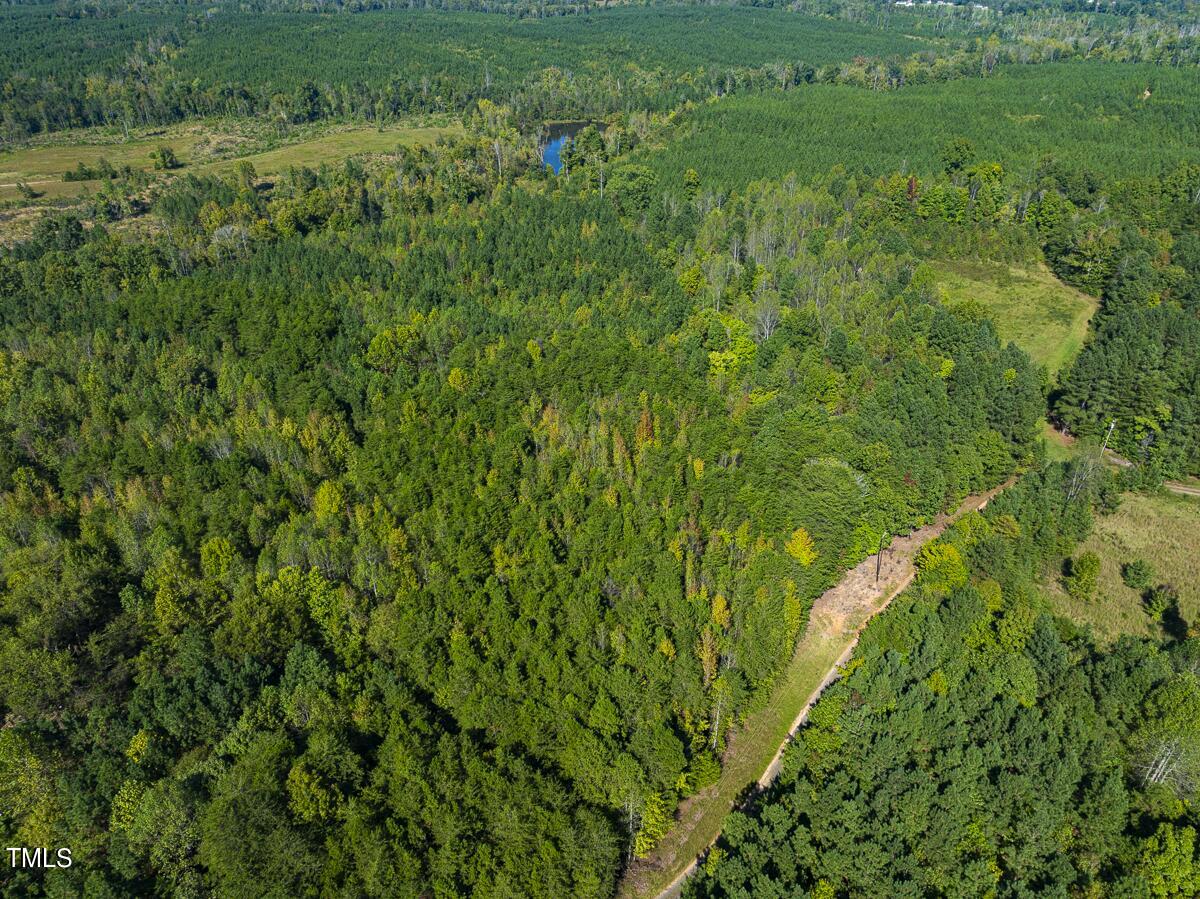 Lot-8-00 Wilson Road Providence, NC 27315 - Photo 22 of 45 Caswell Co. NC 16.55-Backwoods-Lot 8-22