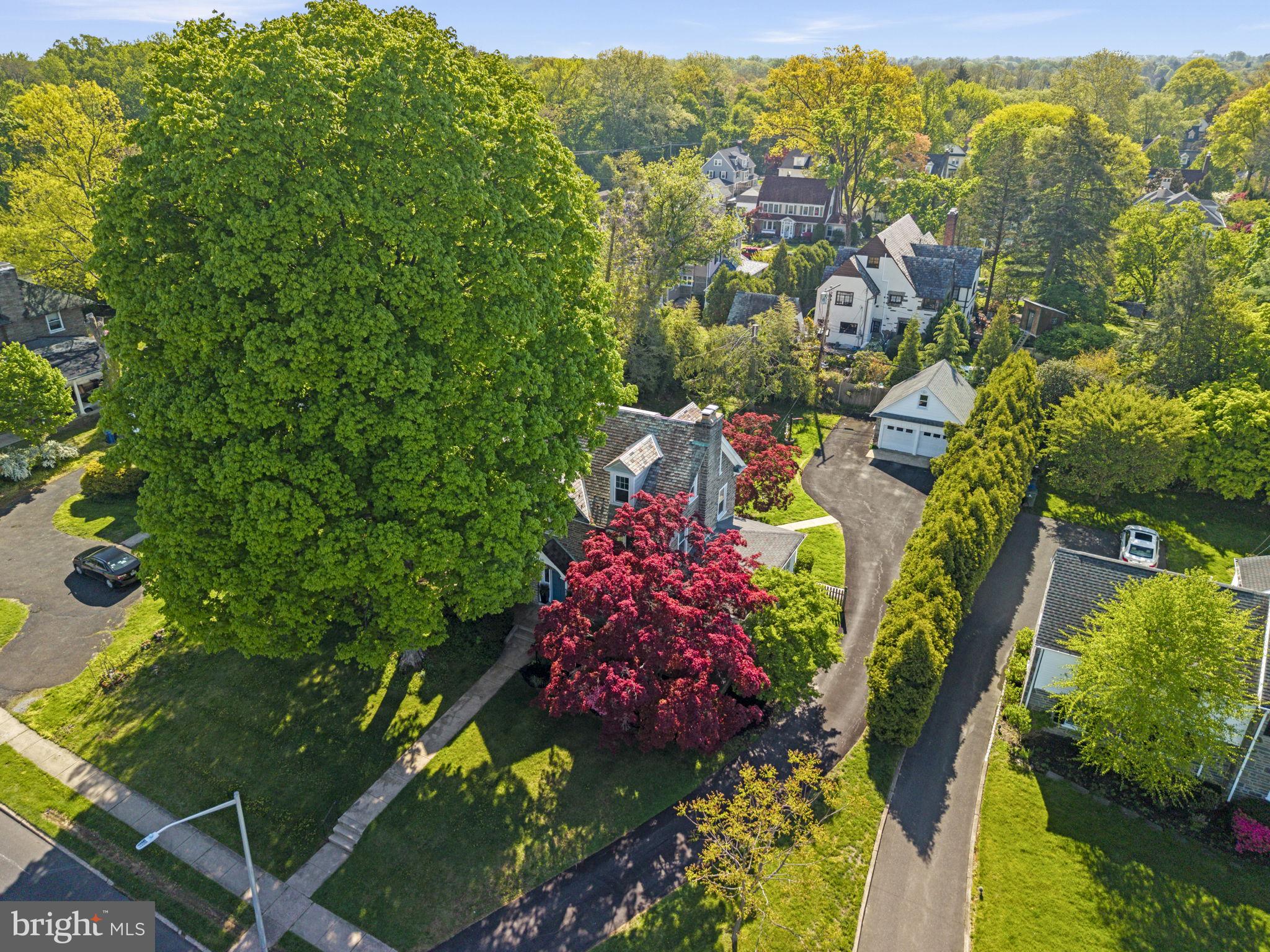 341 Meetinghouse Road Jenkintown, PA 19046 - Photo 45 of 53