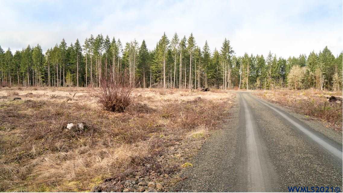 Gooseneck (parcel 289476) Road Sheridan, OR 97378 - Photo 20 of 23