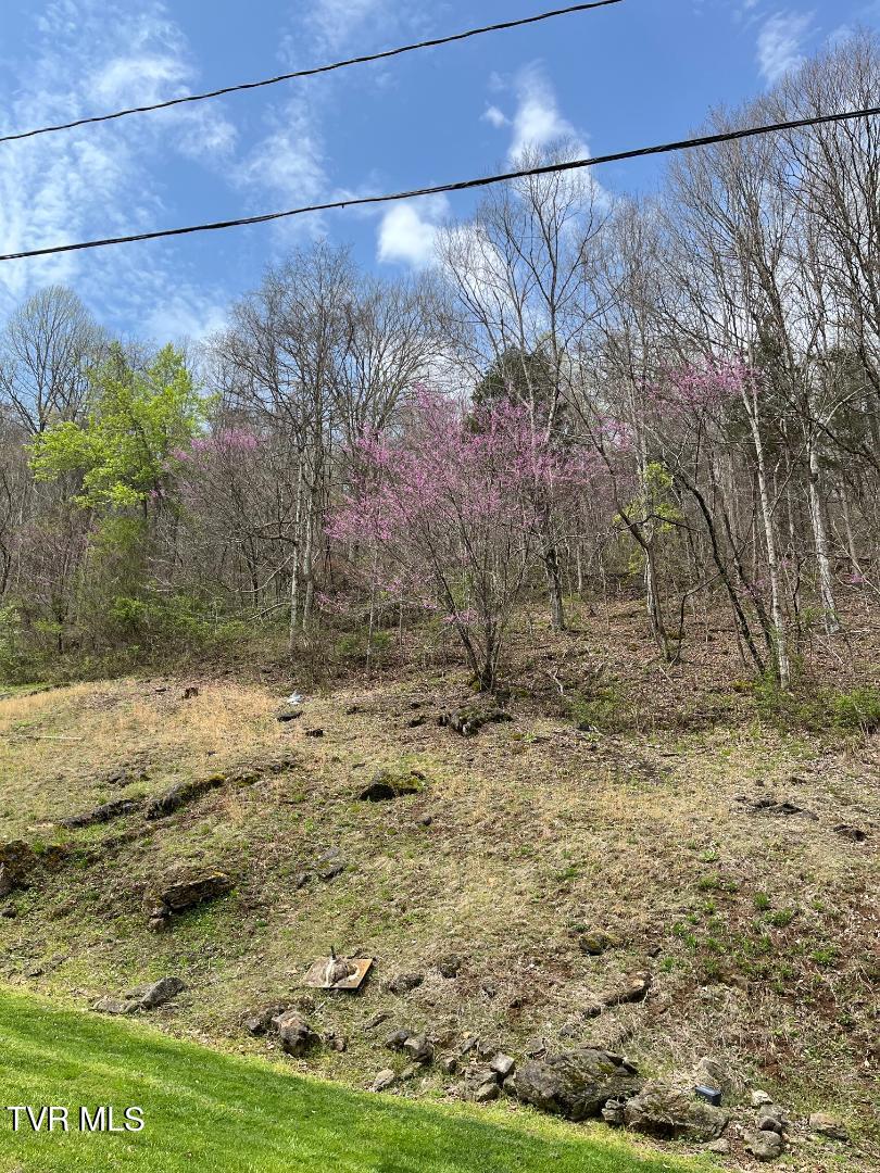 2273 Purchase Ridge Road Duffield, VA 24244 - Photo 20 of 37 thumbnail (7)