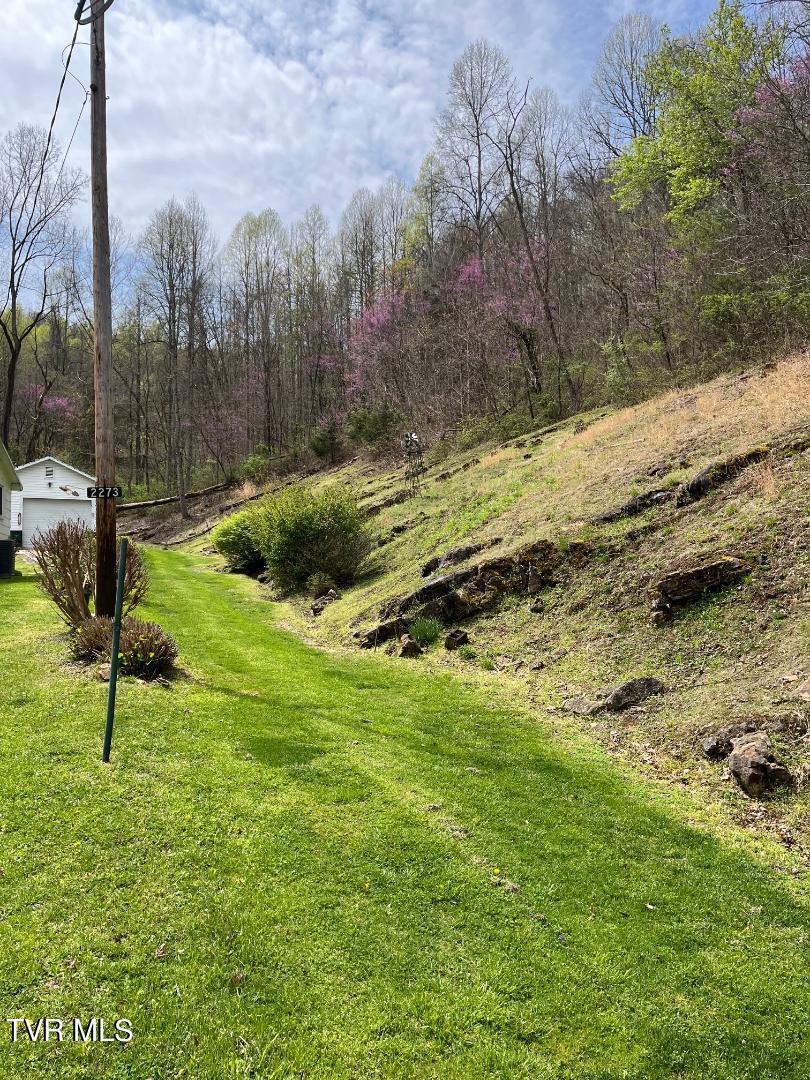 2273 Purchase Ridge Road Duffield, VA 24244 - Photo 21 of 37 thumbnail (8)