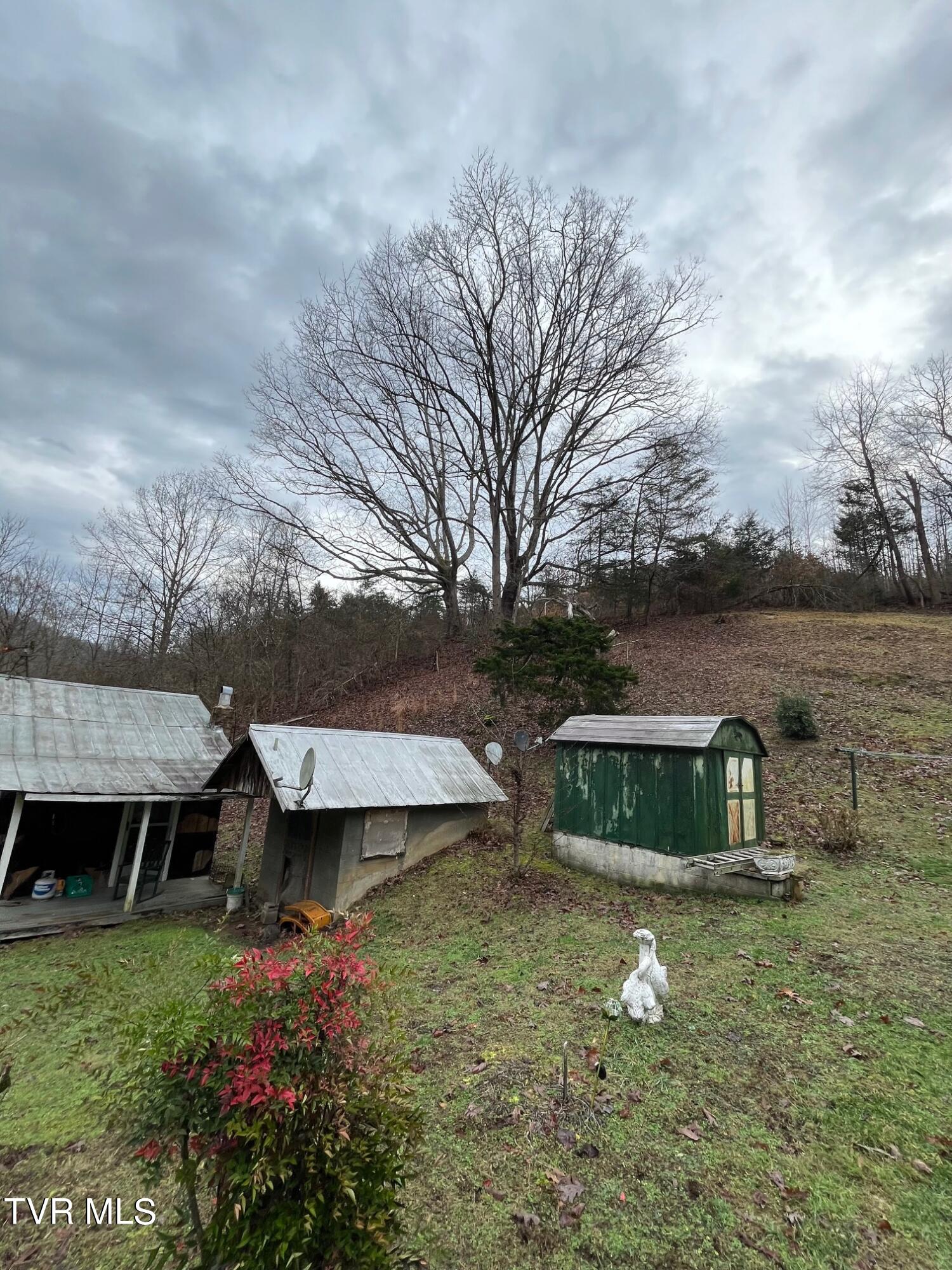 2273 Purchase Ridge Road Duffield, VA 24244 - Photo 33 of 37 IMG_0326