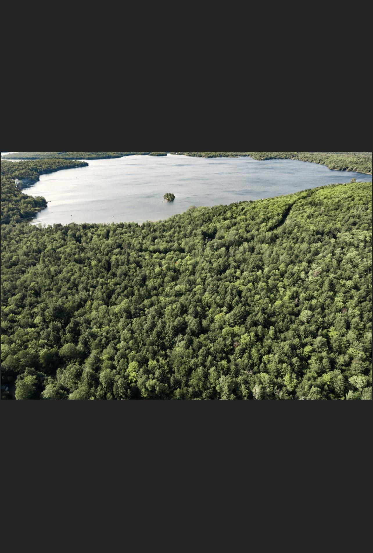 Lot #2 South Shore Road Houlton, ME 04730 - Photo 4 of 12 5CB22F23-47E1-438B-AE09-111C42FB4BE7