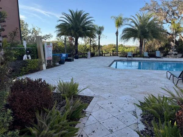a palm tree sitting in front of a house with a yard