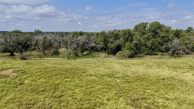 a view of a field with a tree in front of it