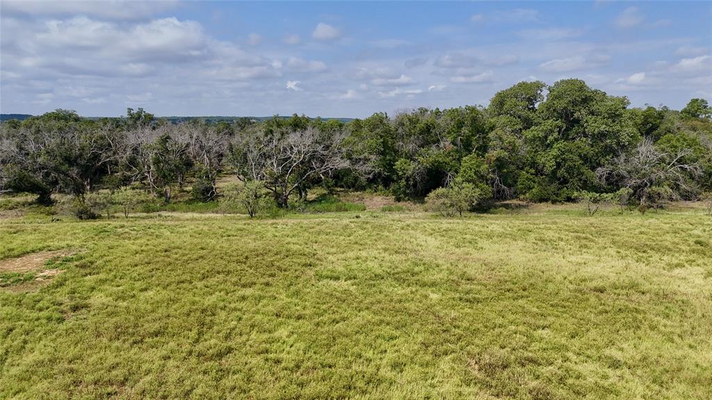 a view of a field with a tree in front of it