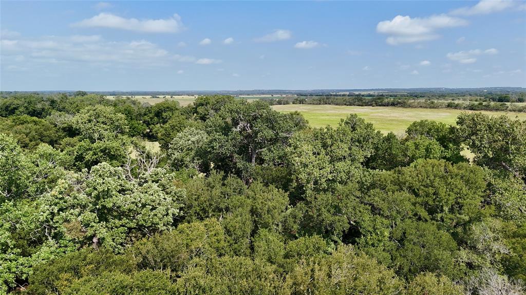 388 County Road 388 Gustine, TX 76455 - Photo 12 of 15 a view of an outdoor space and a lake view