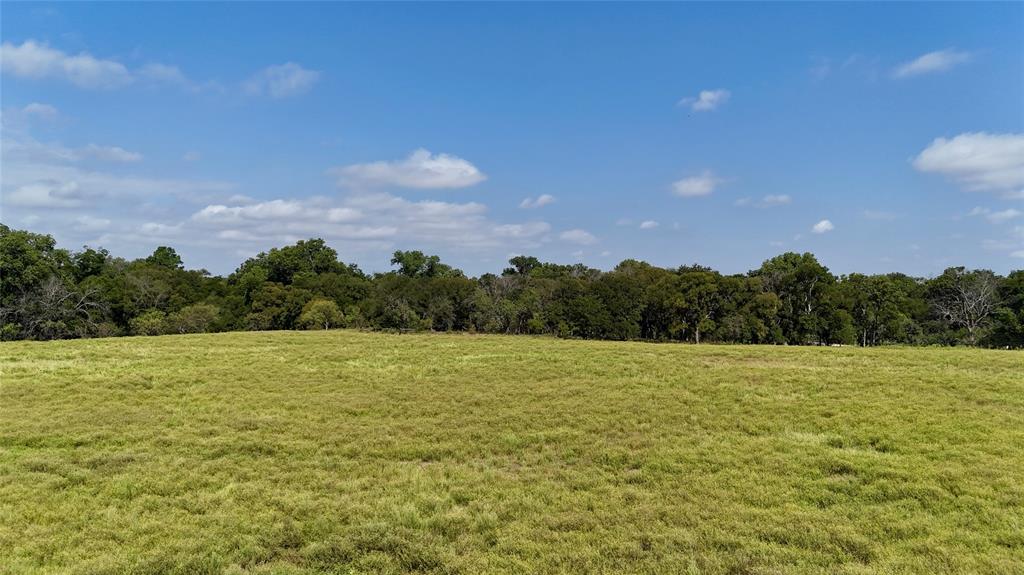 388 County Road 388 Gustine, TX 76455 - Photo 4 of 15 a view of outdoor space and yard