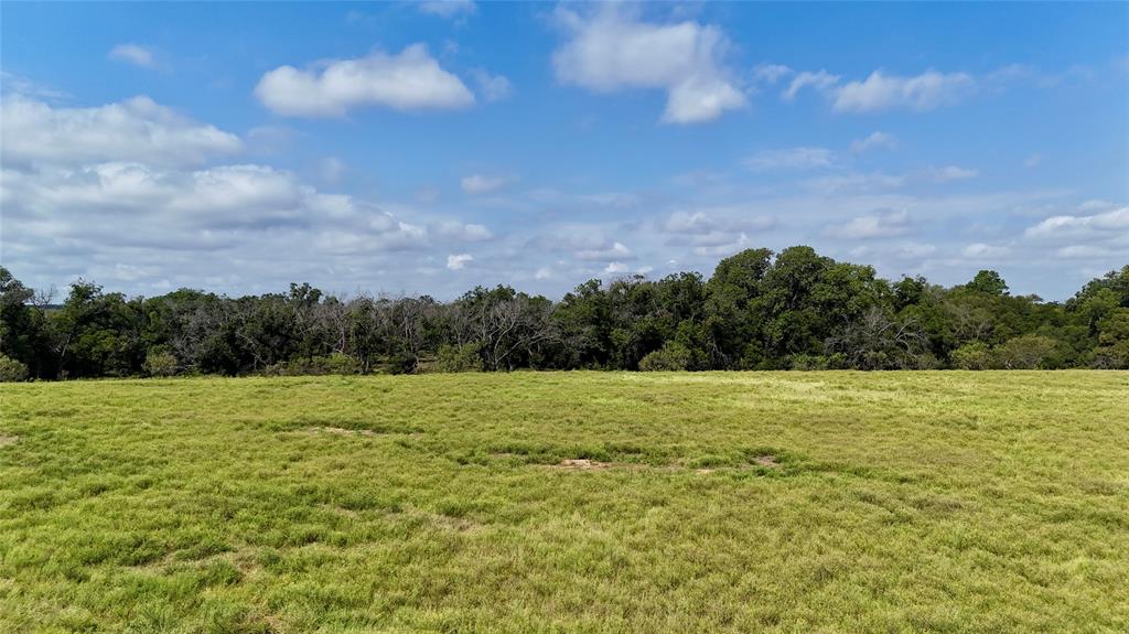 388 County Road 388 Gustine, TX 76455 - Photo 7 of 15 a view of an outdoor space and a yard