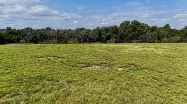 a view of a field with an ocean