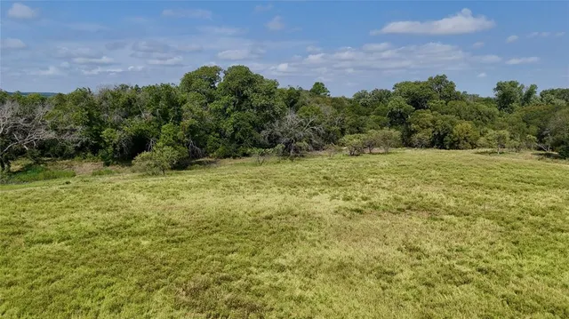 a view of a field with a tree in front of it
