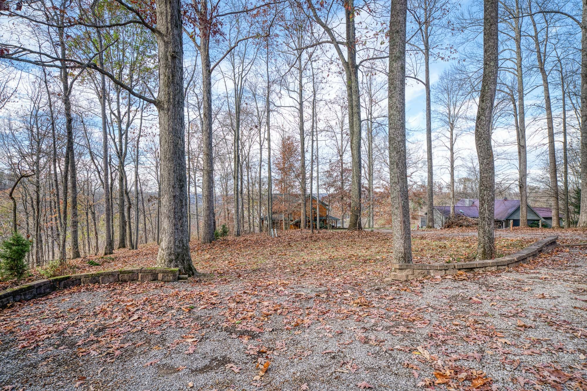 645 Rocky Top Road Sparta, TN 38583 - Photo 29 of 29 a view of a backyard with large trees