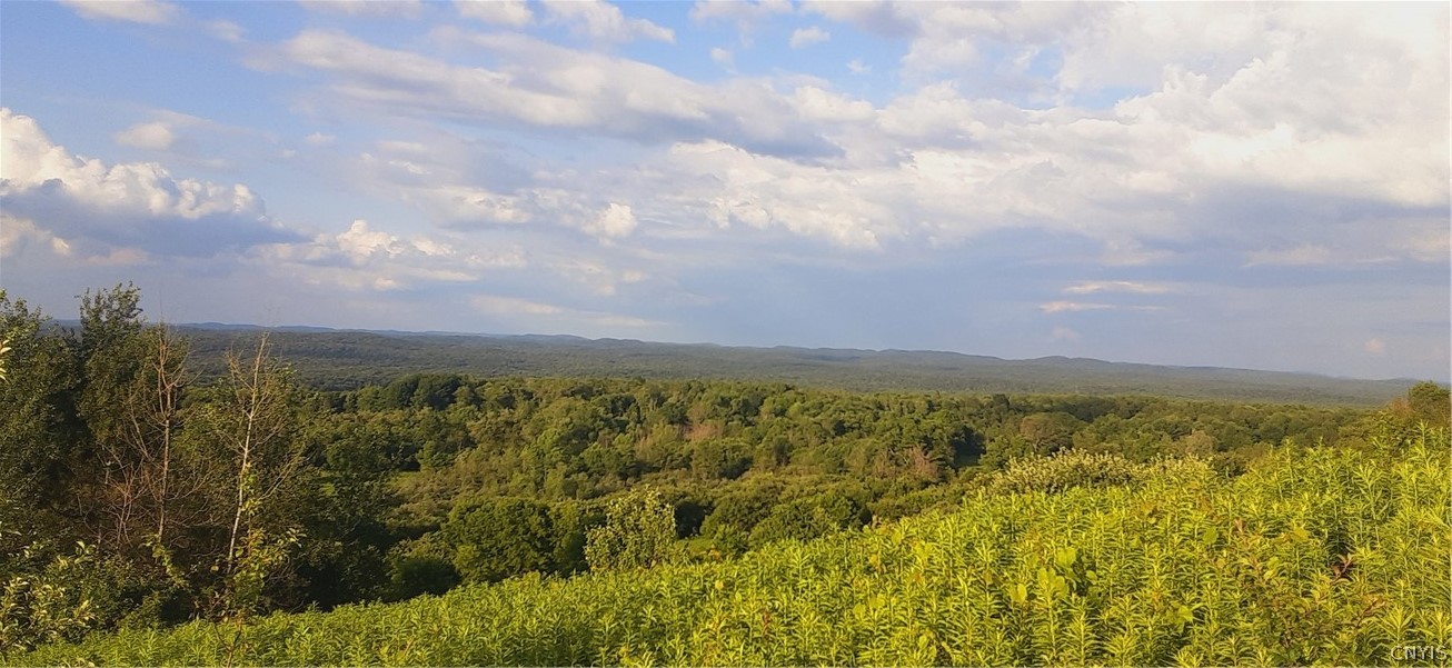 271 Snyder Road Newport, NY 13416 - Photo 39 of 41