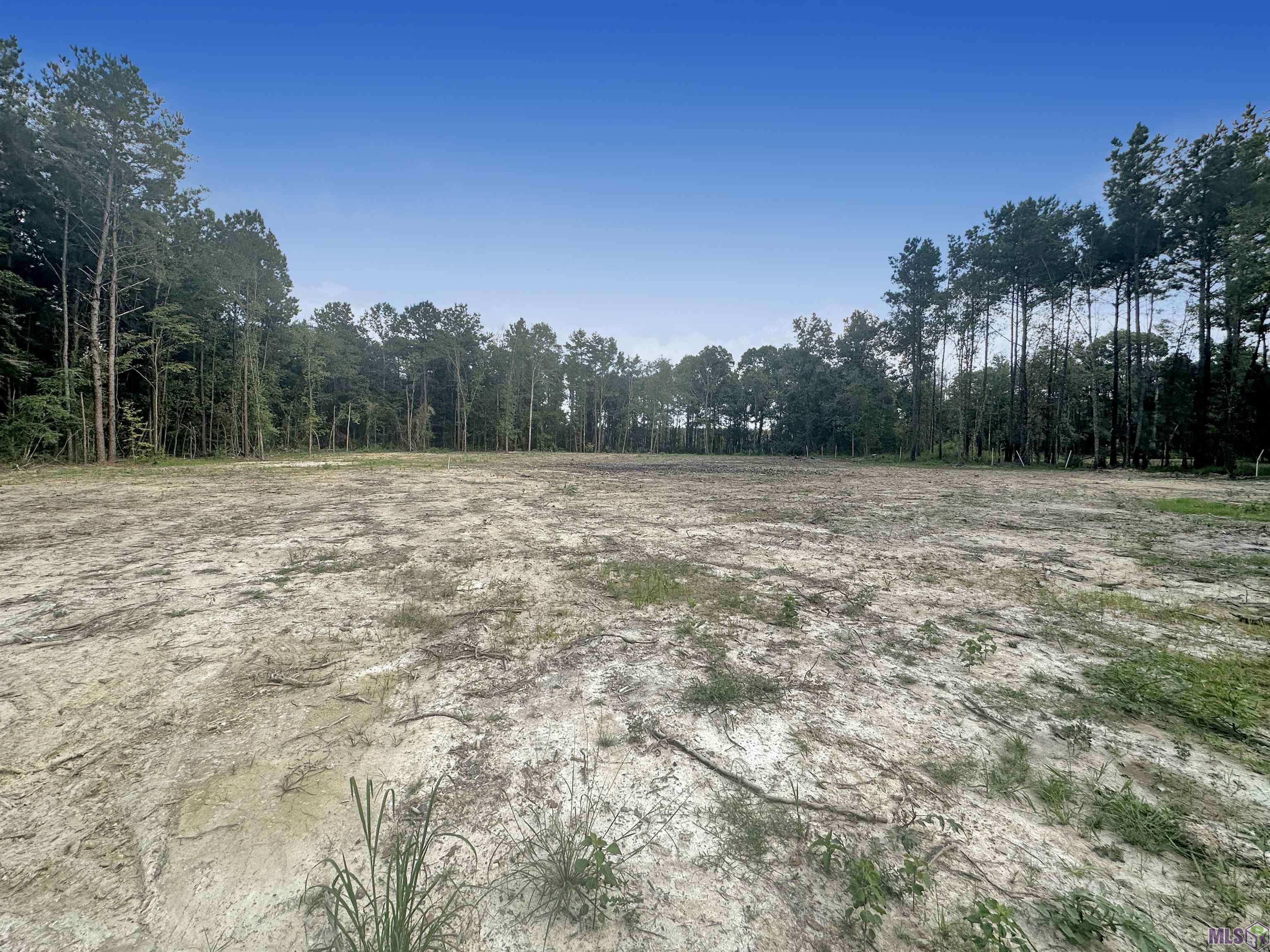 14342 Springfield Road Walker, LA 70785 - Photo 1 of 4