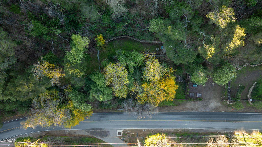0 Ojai Road Santa Paula, CA 93060 - Photo 18 of 18 a view of a yard with plants