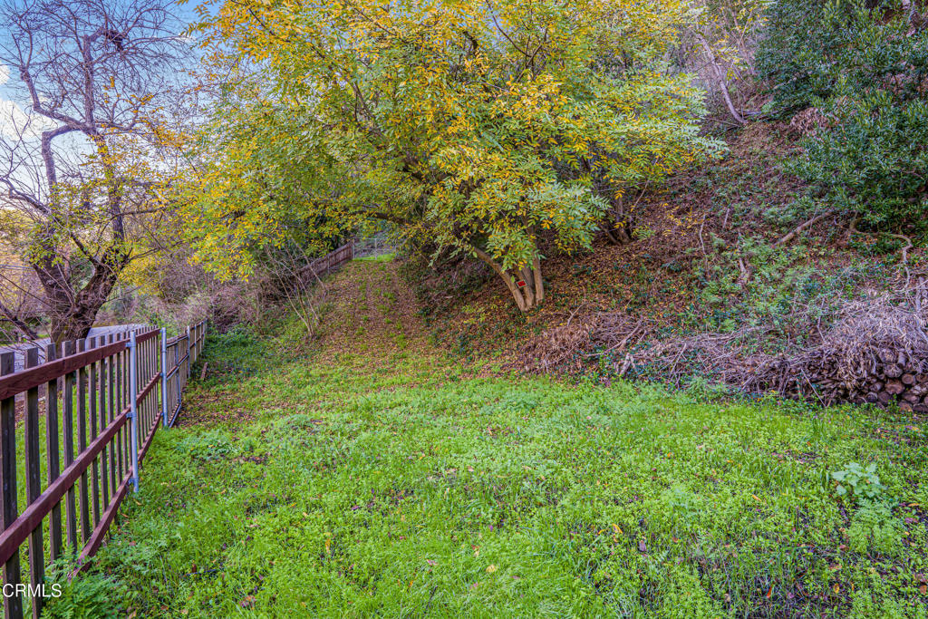 0 Ojai Road Santa Paula, CA 93060 - Photo 4 of 18 a view of a yard with large trees