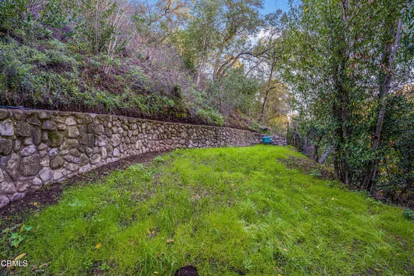 a view of a yard with a tree
