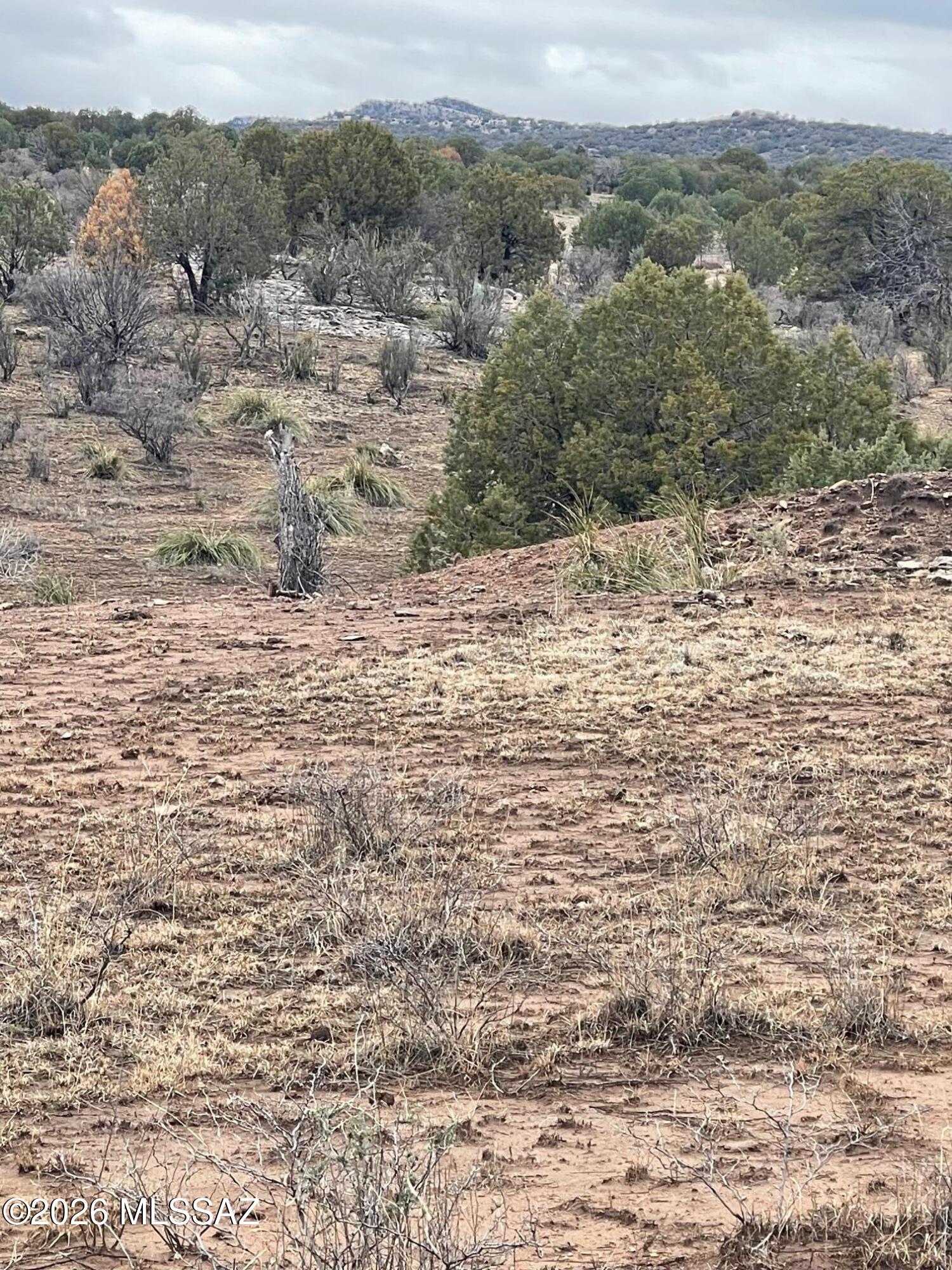 0 Vaughn Loop Road Elgin, AZ 85611 - Photo 7 of 9