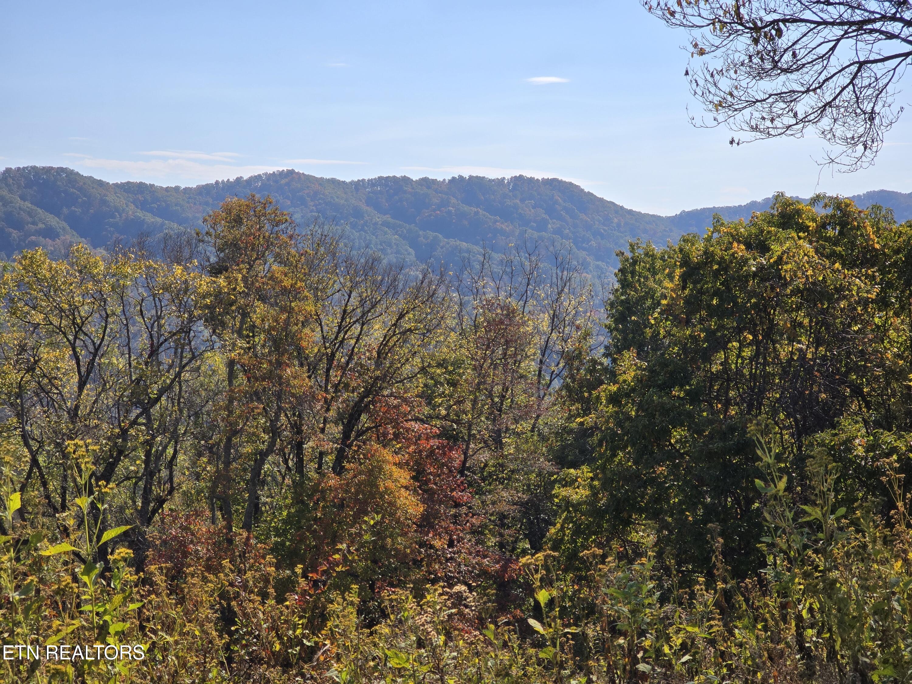 Tbd Copper Ridge Road Eidson, TN 37731 - Photo 3 of 49 20251018_143657
