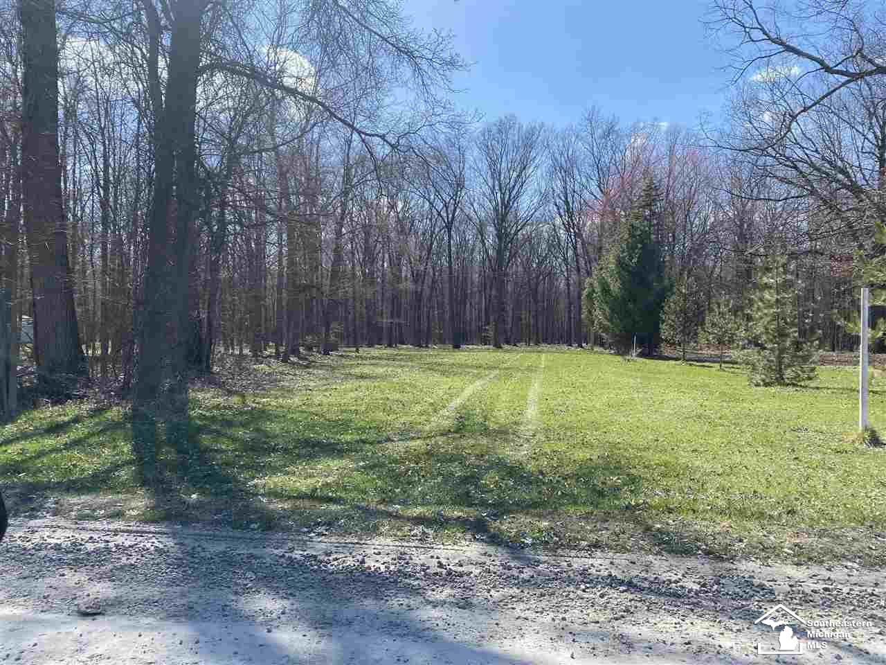 0 Yensch Road Maybee, MI 48159 - Photo 1 of 5 Gallery Image 1