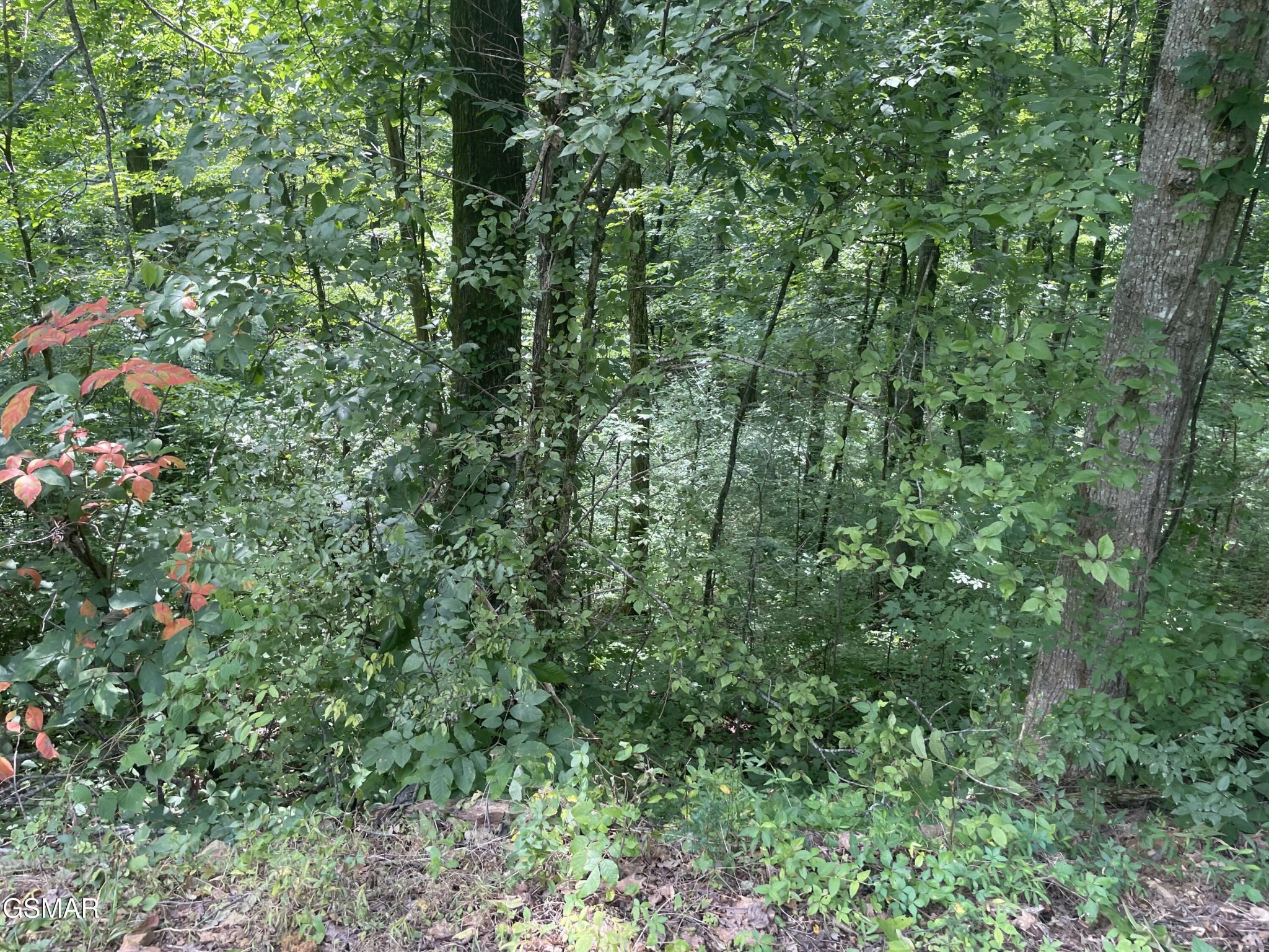 1 King Estates Road Sevierville, TN 37876 - Photo 7 of 9