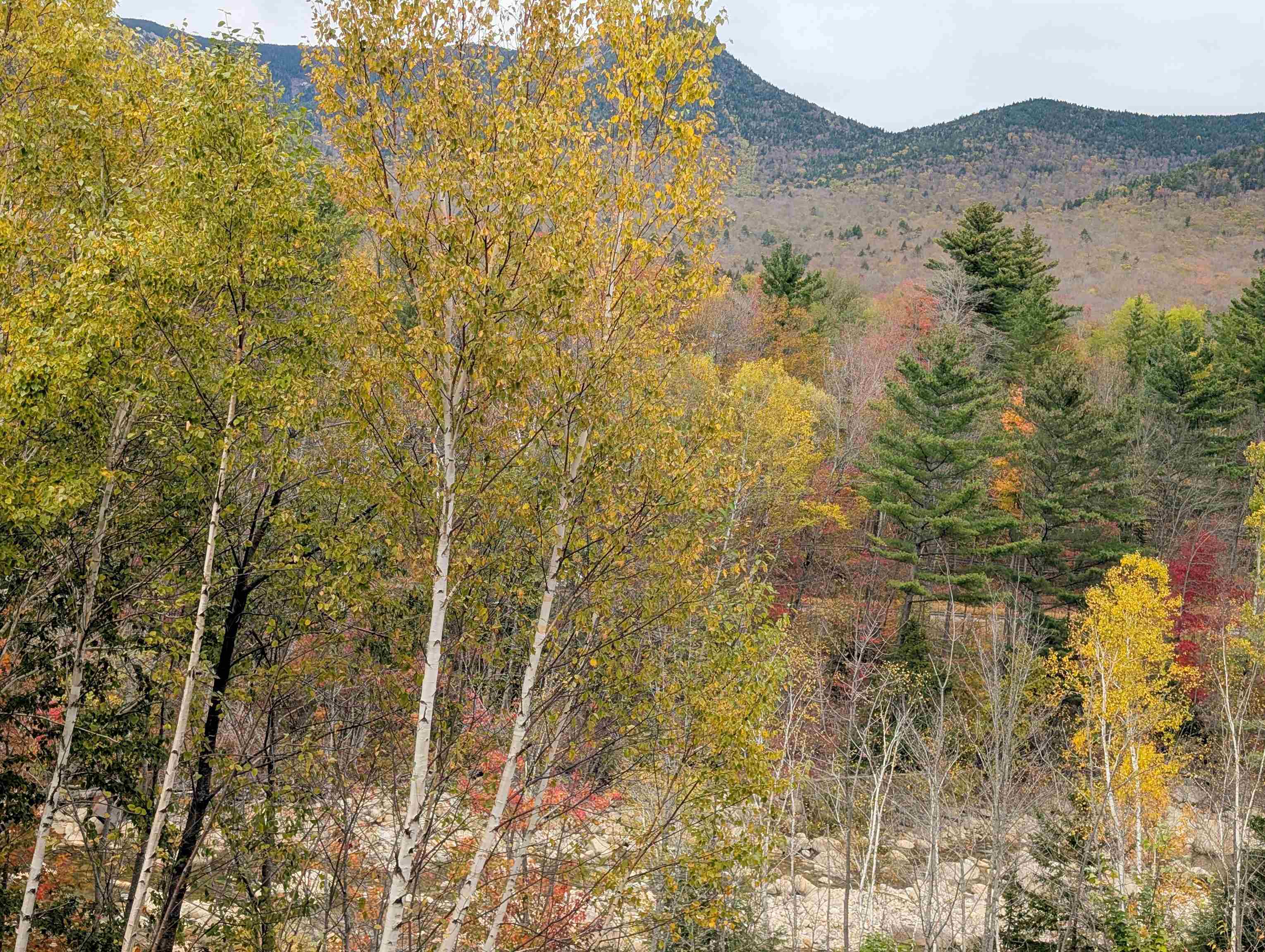 90 Loon Mountain Road, Unit 861D Lincoln, NH 03251 - Photo 23 of 48