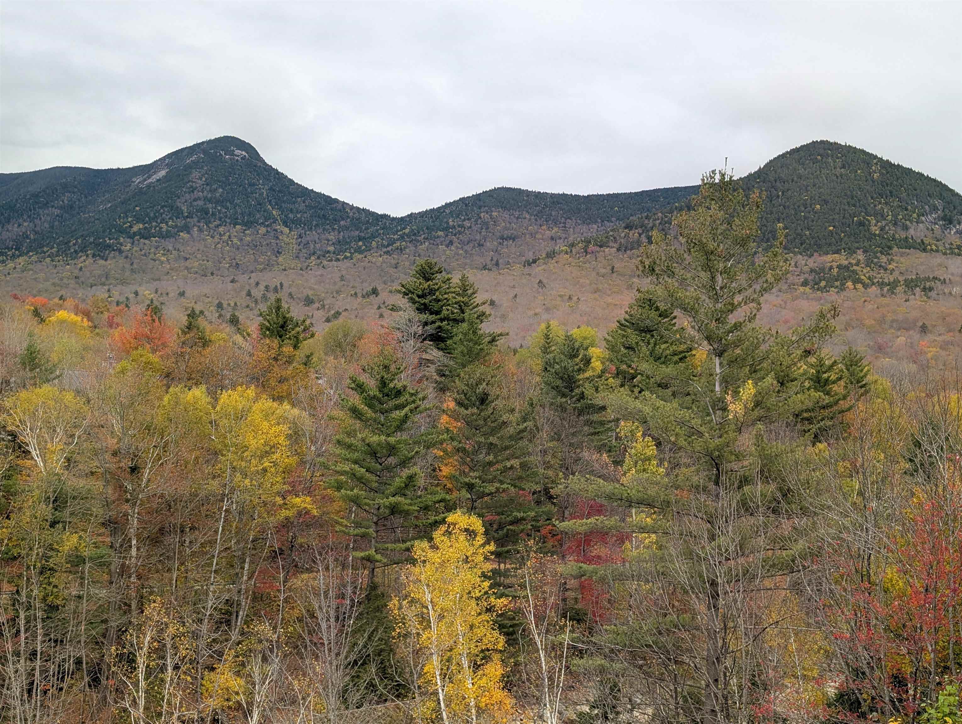 90 Loon Mountain Road, Unit 861D Lincoln, NH 03251 - Photo 24 of 48