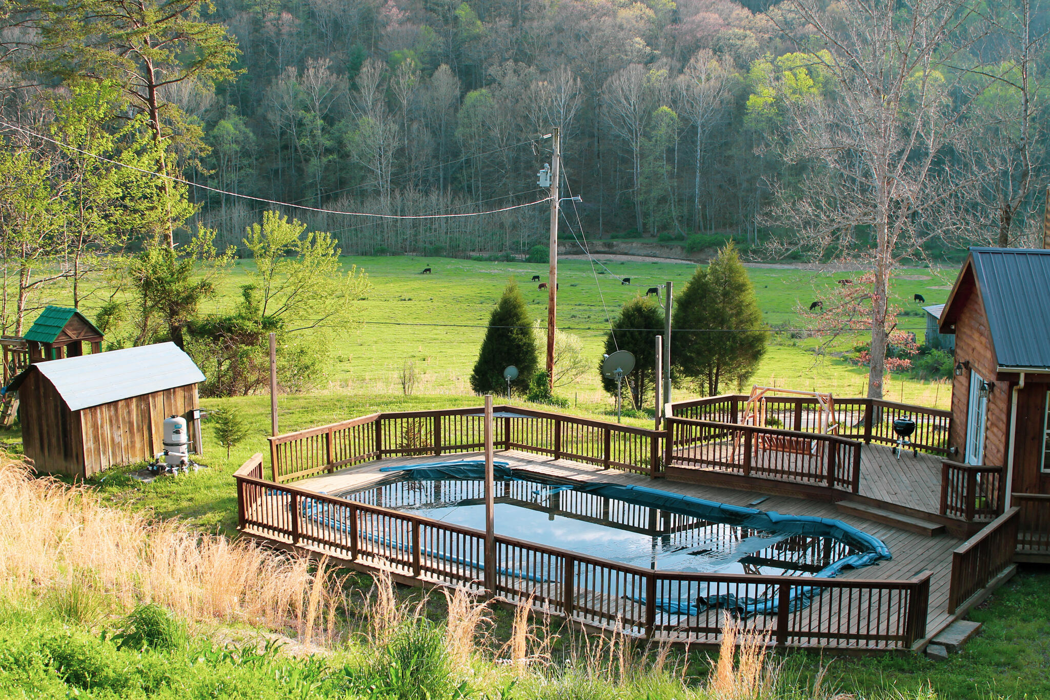 1477 Lower Cane Creek Road Stanton, KY 40380 - Photo 56 of 70 IMG_0675