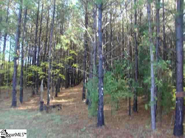 0 Tom Bridge Road, Unit 14 25 Iva, SC 29655 - Photo 12 of 13