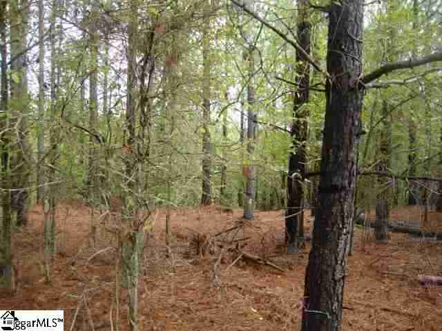 0 Tom Bridge Road, Unit 14 25 Iva, SC 29655 - Photo 7 of 13