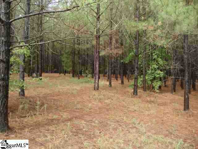 0 Tom Bridge Road, Unit 14 25 Iva, SC 29655 - Photo 9 of 13