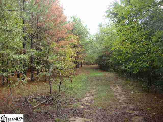 0 Tom Bridge Road, Unit 14 25 Iva, SC 29655 - Photo 10 of 13