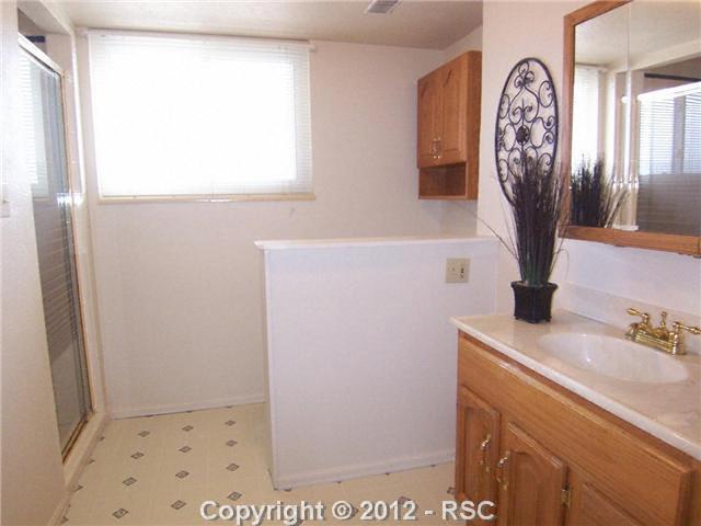 1308 Baron Road Colorado Springs, CO 80920 - Photo 8 of 19 Lower Level Bathroom