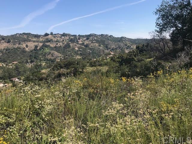 0 Ross Road Fallbrook, CA 92028 - Photo 12 of 13
