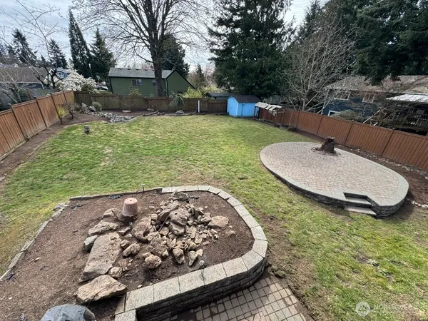 a view of a backyard with a garden and plants