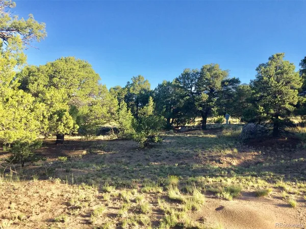 $42,500 | 3514 Forest Trail, Crestone, CO 81131