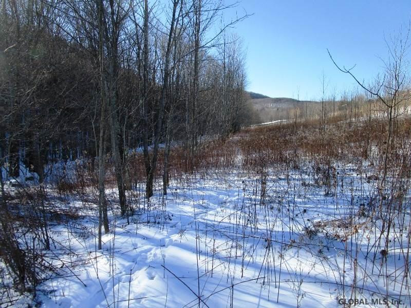 Berry Lane Cobleskill, NY 12043 - Photo 12 of 14 Photo 12